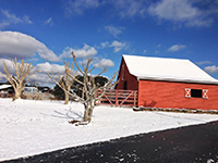 Sunrise Farm Bed & Breakfast In Salem, South Carolina